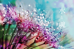 花と水滴